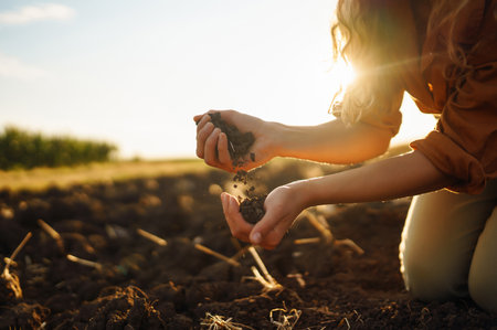 Female hands touching soil on the field. Agriculture, gardening or ecology conceptの写真素材