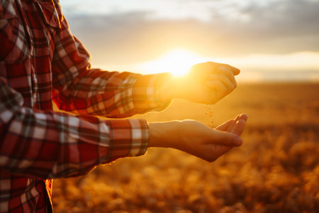 Farmers hands pour grain into field from hand to hand. Agriculture, gardening or ecology concept.