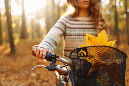 Autumn bouquet of yellow and orange leaves lying in a bicycle basket in a sunny autumn park.の写真素材