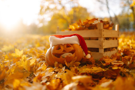 Halloween pumpkin on the autumn park. Holidays, decoration concept.の写真素材