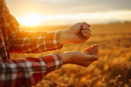 Farmers hands pour grain into field from hand to hand. Agriculture, gardening or ecology concept.の写真素材