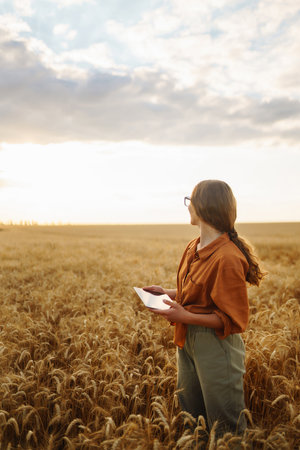 Person using tablet in wheat field during sunset. Agriculture, technology and farming concept.の写真素材