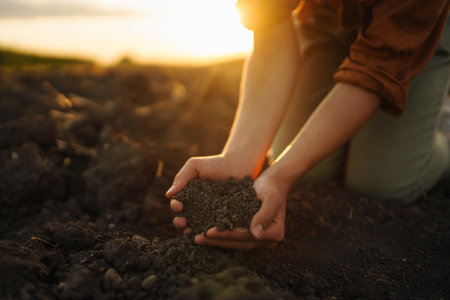 Hands touching soil on the field. Agriculture, gardening or ecology conceptの写真素材