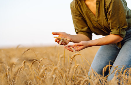 Woman farmer analyzes the harvest in a golden wheat field. Agronomist checks the progress of harvest