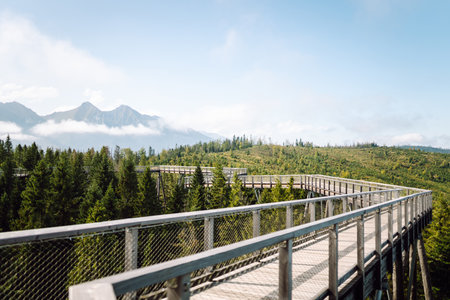 Wooden bridge in the middle of the forest with view of mountains. Hiking.の写真素材