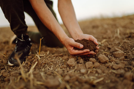 Close-up of a woman farmer's hands holding fresh soil.の写真素材