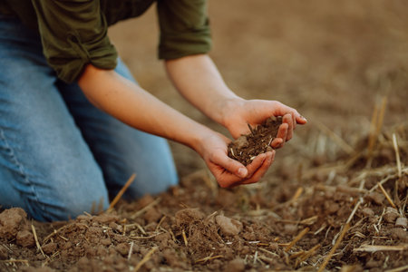 Close-up of a woman farmer's hands holding fresh soil. Agriculture, gardening concept.の写真素材
