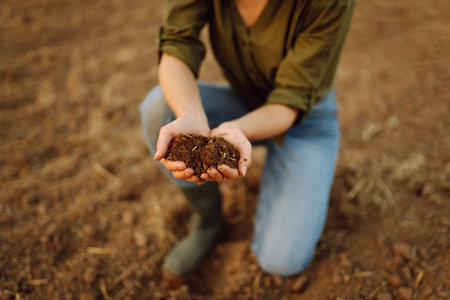 Close-up of a woman farmer's hands holding fresh soil. Agriculture, gardening concept.