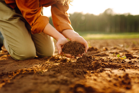 Close-up of experienced woman farmer's hands holding fresh soil. Concept of growing, ecology.の写真素材