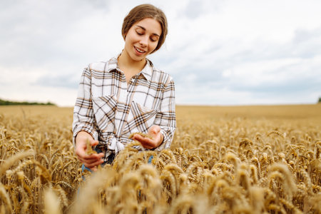 Agronomist holds ears of wheat, check quality of wheat grain. Agriculture food industry.の写真素材