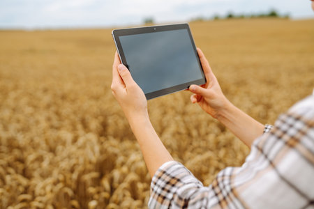 Woman agronomist in a field with a tablet checks the growth of the crop. New harvest concept.の写真素材