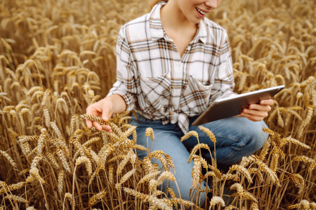 Woman agronomist in a field with a tablet checks the growth of the crop. New harvest concept.の写真素材