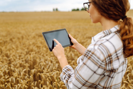 Woman agronomist in a field with a tablet checks the growth of the crop. New harvest concept.の写真素材