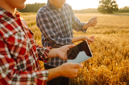 Two farmers check the quality of wheat using a tablet. Smart farm. Agriculture, business concept.の写真素材