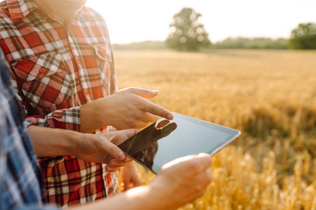 Two farmers standing in golden wheat field using touch pad for check wheat quality. Smart farm.の写真素材