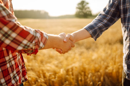 Close-up of two farmers shaking hands in a golden wheat field. Business concept, agriculture.の写真素材