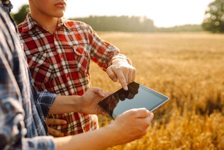 Two farmers standing in golden wheat field using touch pad for check wheat quality. Smart farm.の写真素材