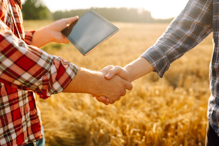 Handshake, joint work of farmers. Two farmers making agreement with handshake in wheat field.の写真素材
