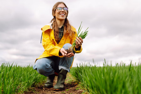 Farmer woman holding green wheat sprouts, checking growth. Scientist is checking the plant.の写真素材