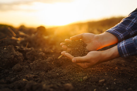 Farm owner checks quality of soil with his hands with tablet and checks fertility before sowing.