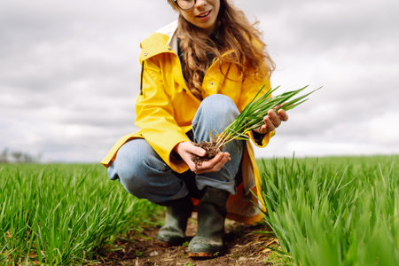 Farmer woman holding green wheat sprouts, checking growth. Scientist is checking the plant.の写真素材