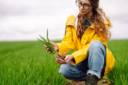 Farmer woman holding green wheat sprouts, checking growth. Scientist is checking the plant.の写真素材