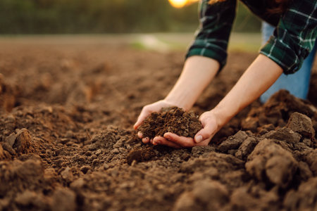 Close-up of woman farmer's hands with black soil in agricultural field. Ecology, gardening concept.の写真素材