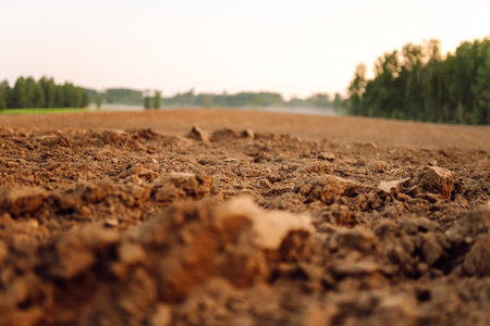 Black earth for plant background. Close-up of black soil prepared before sowing plants.の写真素材