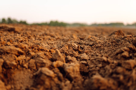 Black earth for plant background. Close-up of black soil prepared before sowing plants.の写真素材