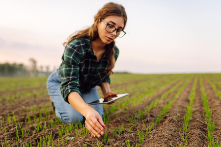 A woman agronomist examines new sprouted shoots in the field using a digital tablet.