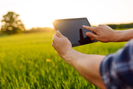 Close-up of the hands of farmer with digital tablet, checking the quality of wheat growth in green fieldの写真素材