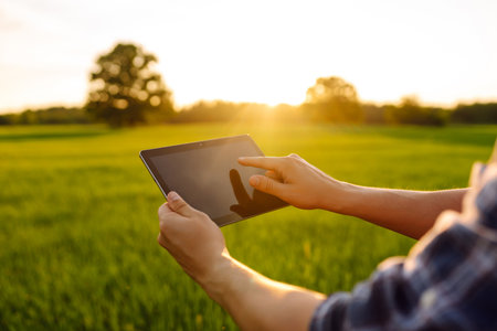 Close-up of the hands of farmer with digital tablet, checking the quality of wheat growth in green fieldの写真素材