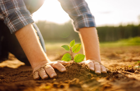 Close up - Hands of a young man taking care of a small plant in garden. Business or ecology concept.の写真素材