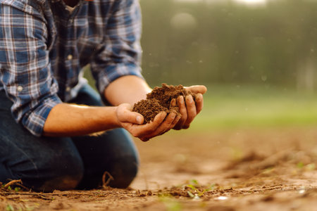 Farmer's hands take the soil from field and check its quality. Experienced male hands hold the soil.の写真素材