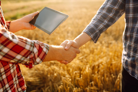 Handshake, joint work of farmers. Two farmers making agreement with handshake in wheat field.