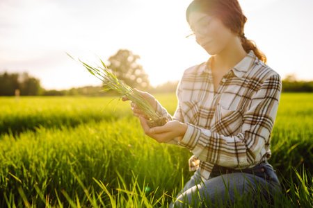 Woman owner of a wheat farm checks quality of wheat through an application on digital tablet.の写真素材