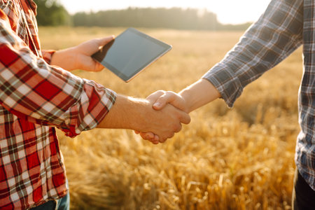 Handshake, joint work of farmers. Two farmers making agreement with handshake in wheat field.