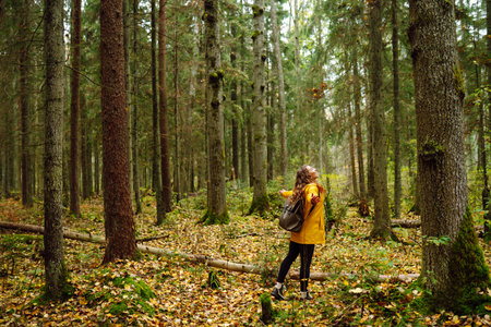 Female tourist with backpack in forest walks, enjoys nature of forest. Concept of nature, relaxation
