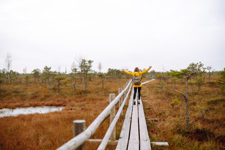 Wooden trail for walking routes through the swamp. Tourism concept, hiking trail, nature.