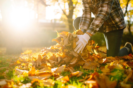 Man cleans the autumn park from yellow leaves. Cleaning, and ecology concept. Seasonal gardening.