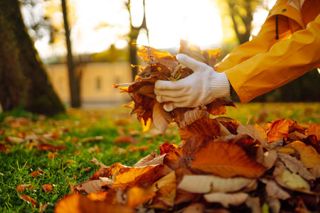 Woman cleans autumn park from yellow leaves. Volunteering, cleaning concept. Seasonal gardening.の写真素材