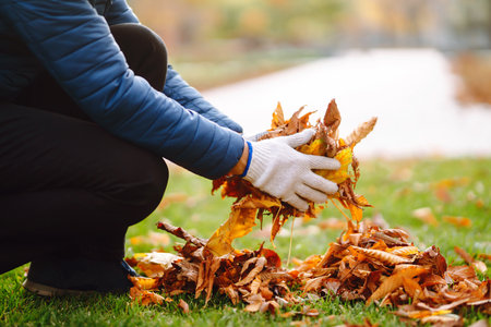 Harvesting autumn leaves. Man cleans the autumn park from yellow leaves. Volunteering, cleaning.