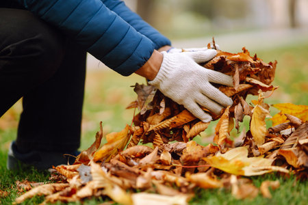 Harvesting autumn leaves. Man cleans the autumn park from yellow leaves. Volunteering, cleaning.