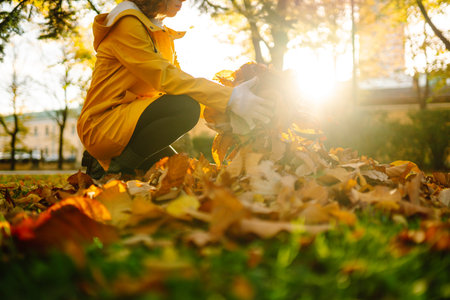Woman cleans autumn park from yellow leaves. Volunteering, cleaning concept. Seasonal gardening.の写真素材