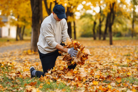 Male hand in gloves collects, piles of fallen autumn leaves at sunset. Volunteering, cleaning concept.の写真素材