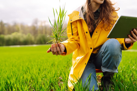 A young female smart farmer with tablet on field, High technology innovations and smart farming.