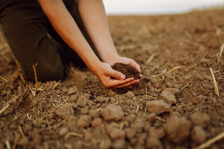 A young woman farmer holds black soil in hand on an agricultural field. Fertility concept, scaling.