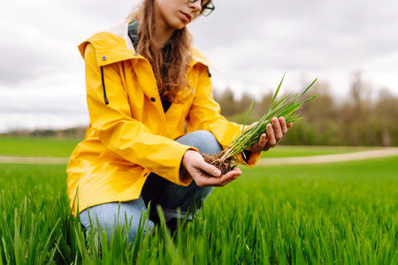 Farmer woman holding green wheat sprouts, checking growth. Scientist is checking the plant.