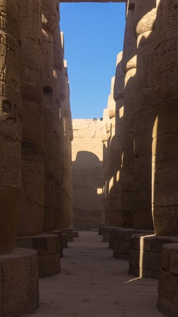 Columns and in ancient temple of Egyptの写真素材