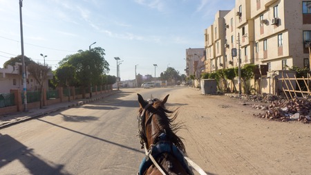 Riding the horse on the streets of some city in Egyptの写真素材